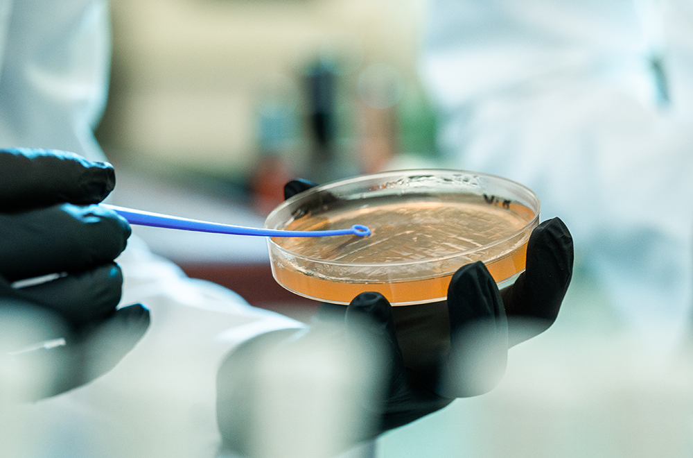 Life Sciences